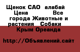 Щенок САО (алабай) › Цена ­ 10 000 - Все города Животные и растения » Собаки   . Крым,Ореанда